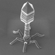 Illustration for article titled Nanometer-Wide PicoToilet, Plus a Gallery of Micrographs